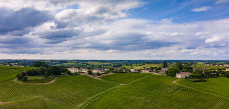 Aerial view, Sunset landscape, Bordeaux wineyard, Langoiran, Gironde, France