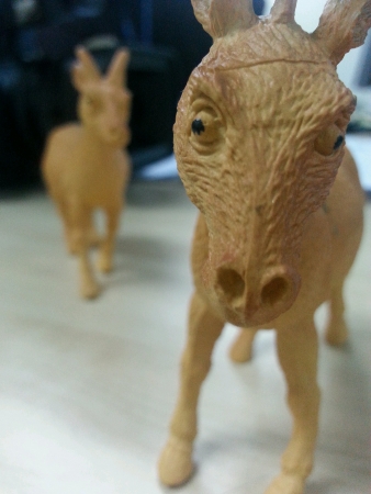 small versus big sizeの素材