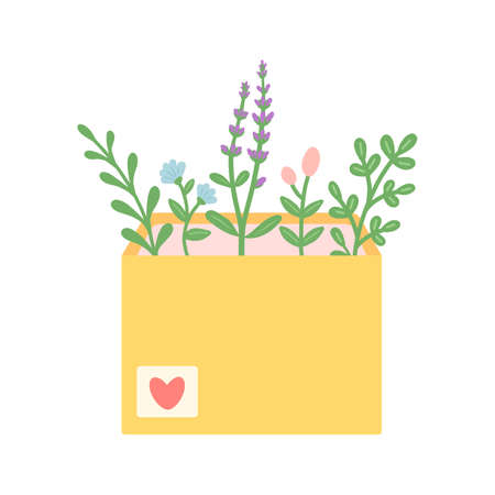 Flowers and leaf in envelope, vector illustrationのイラスト素材