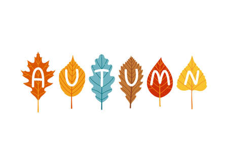 Autumn lettering on leaves fall season vectorのイラスト素材