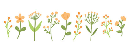 Garden floral plants set. Simple doodle flower plants isolated on white background. Colorful flat vector illustrationのイラスト素材