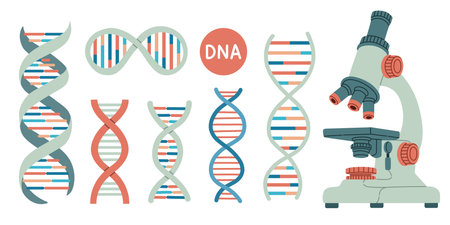 Set of DNA and microscope. Life gene model bio code genetics molecule medical symbols. Structure molecule, chromosome.のイラスト素材