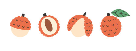 Set of abstract vector lychee. Simple lychee. Tropical fruit collection design for interior, poster, banner.のイラスト素材