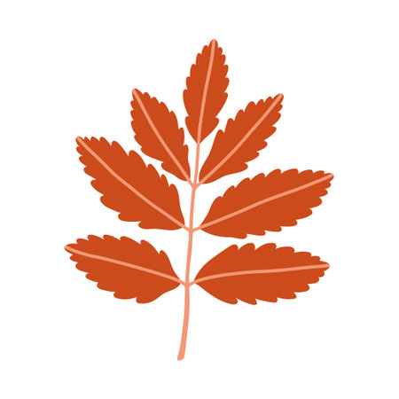 Red rowan leaf branch isolated on white background. Simple autumn fall leaf for pattern, banner, sticker. Hello autumn card. Flat vector illustration.のイラスト素材