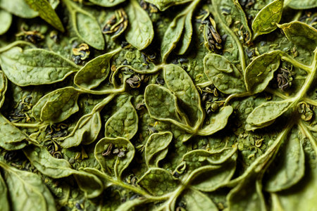 Dry green tea leaves as background, top view. close up. AI-generatedの素材