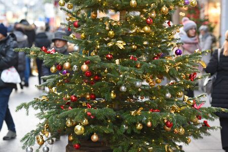 Christmas tree in the pedestrian area in Bad Ischl (Gmunden district, Upper Austria)の写真素材