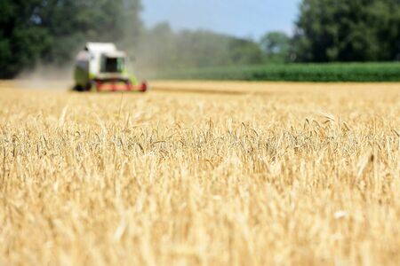 Combine harvester on a grain field in the Salzkammergut (Upper Austria, Austria) A combine harvester...