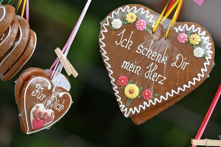 The Rainbow Parade is a political demonstration and a colorful parade that takes place annuallyの写真素材