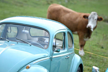 VW classics at Postalm (Salzburg, Austria) - Every year in September, fans of VW classics with a...