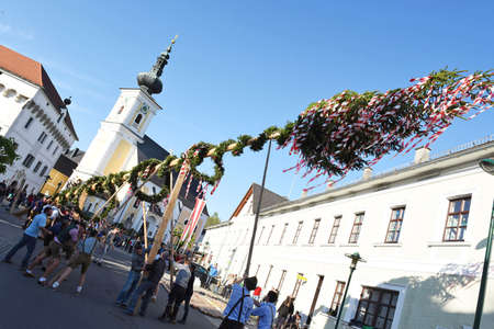 Maypole installation in Vorchdorf (Gmunden district, Upper Austria, Austria) - A maypole is a decorated tree or trunk that will be placed in Austria on May 1 (usually April 30) in the village or town square.のeditorial素材
