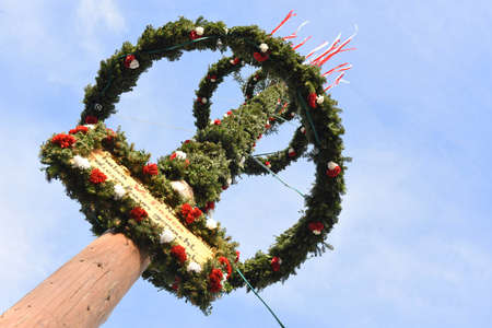 Maypole installation in Laakirchen (Gmunden district, Upper Austria, Austria) - A maypole is a decorated tree or trunk that will be placed in Austria on May 1 (usually April 30) in the village or town square.のeditorial素材