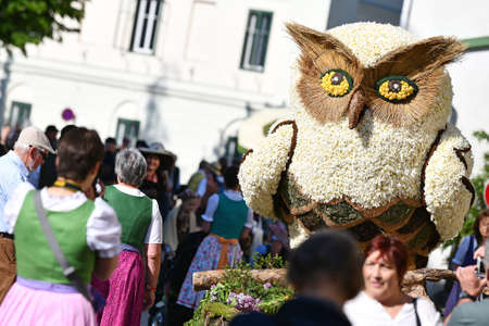 Narcissi Festival, Austrias largest flower festivalのeditorial素材