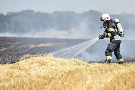 Because of the great summer heat, a field ignites and starts to burnのeditorial素材