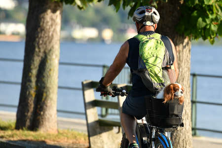 A cyclist with a dog in the back seat (Gmunden, Salzkammergut, Upper Austria)のeditorial素材