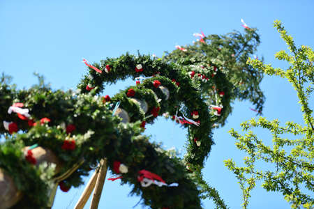 Maypole installation in Laakirchen (Gmunden district, Upper Austria, Austria) - A maypole is a decorated tree or trunk that will be placed in Austria on May 1 (usually April 30) in the village or town square.のeditorial素材