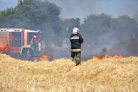Because of the great summer heat, a field ignites and starts to burn.のeditorial素材
