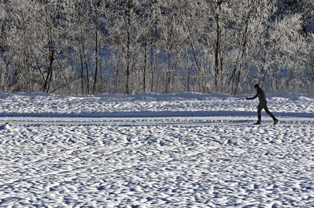 The winter wonderland of Gosau in the south of Upper Austria is a paradise for cross-country skiing. - The winter wonderland Gosau in the south of Upper Austria is a paradise for cross-country skiing.のeditorial素材