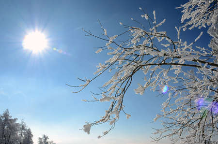 Winter wonderland on the GrÃ¼nberg (Gmunden, Salzkammergut, Upper Austria, Austria)のeditorial素材