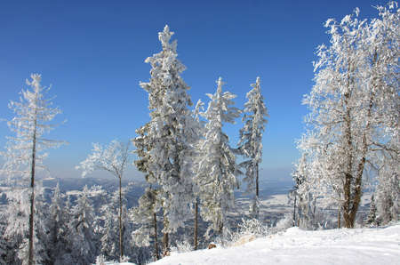 Winter wonderland on the GrÃ¼nberg (Gmunden, Salzkammergut, Upper Austria, Austria)のeditorial素材
