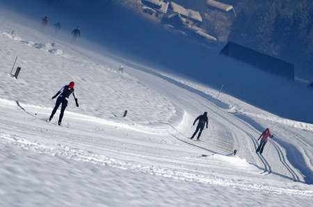 The winter wonderland Gosau in the south of Upper Austria is a paradise for cross-country skiing.のeditorial素材