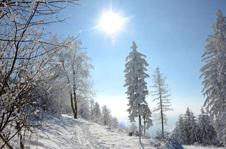 Winter wonderland on the GrÃ¼nberg (Gmunden, Salzkammergut, Upper Austria, Austria)のeditorial素材