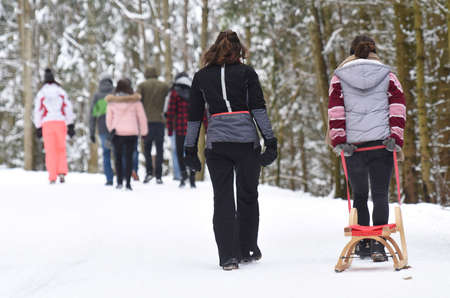 Sledging on the Hochsteinalm (Traunkirchen, Gmunden, Upper Austria, Austria)のeditorial素材
