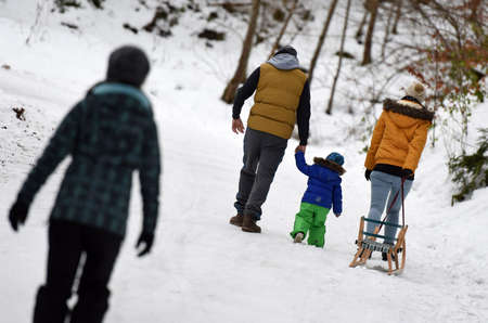 Sledging on the Hochsteinalm (Traunkirchen, Gmunden, Upper Austria, Austria)のeditorial素材