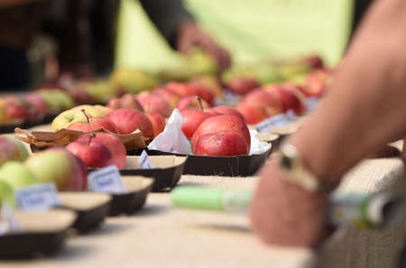 Different apple varieties at an exhibitionの写真素材