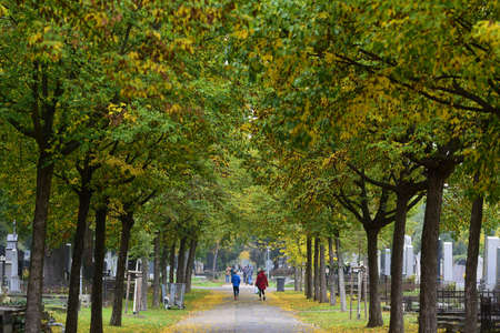 Impression from the Central Cemetery in Vienna, Austria, Europeのeditorial素材