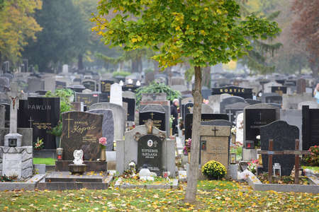 Impression from the Central Cemetery in Vienna, Austria, Europeのeditorial素材