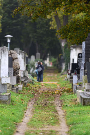 Impression from the Central Cemetery in Vienna, Austria, Europeのeditorial素材