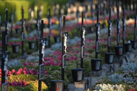 Grave crosses in a row in the cemetery Wels in the evening sun, Austria, Europe