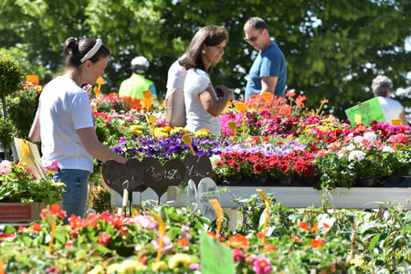 Garden exhibition "Gartenlust" in Bernau Castle, Fischlham, Wels-Land District, Upper Austria, Austria, Europeのeditorial素材