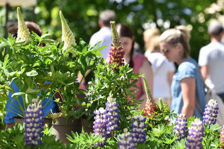 Garden exhibition "Gartenlust" in Bernau Castle, Fischlham, Wels-Land District, Upper Austria, Austria, Europeのeditorial素材