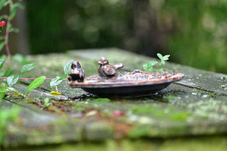 Bird bath in a garden in the rain