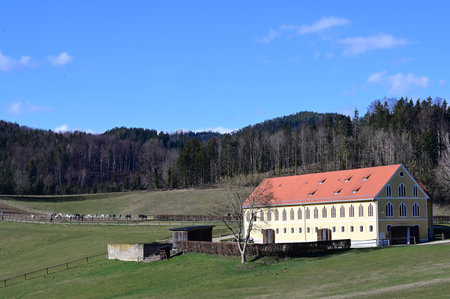 Lipizzaner stud farm in Piber in Styria - Lipizzaners have been bred here since 1920. The foals are born with black, gray or brown fur. They get the typical white color until they are 7 or 8 years oldのeditorial素材