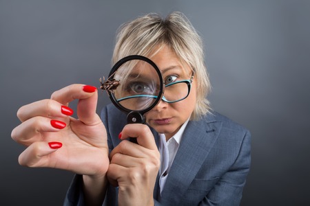 Portrait of a blonde 40s woman, a botanist teacher in a gray suit and turquoise glasses with a magnifying glass, who is looking at an insect on a gray background shot from a wide angleの写真素材