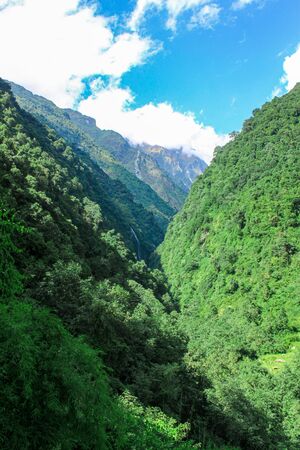 Vivid scenery of forest freshness. Rich greenery along the mountain valley. Atmospheric green forest landscape.の写真素材