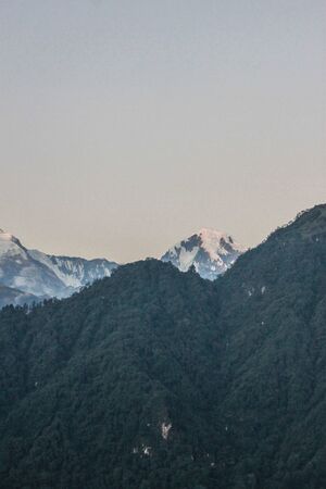 Vivid scenery of forest freshness. Rich greenery along the mountain valley. Atmospheric green forest landscape.の写真素材