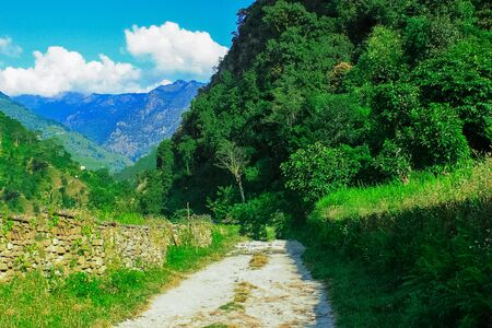 Vivid scenery of freshness of forest along valley of the mountainsの写真素材