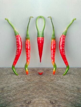 Plant of fresh red chilies and green chilies rising in plant pots. Nepalese organic ingredient foodの写真素材