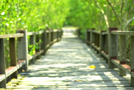 Stock Photo : Abstract Natural Green Bokeh Blur Backgroundの写真素材