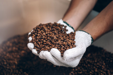 Close up on hands with a lot of roasted coffee beans, Quality check on arabica coffee roasted in small business roaster factory.の写真素材