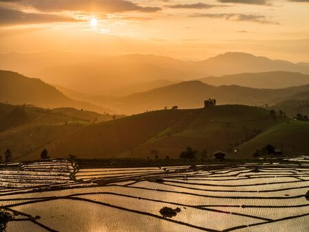 Rice terraces Pong Piang in Chiang Mai, Thailandの写真素材