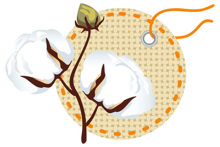 Cotton branch with label (Gossypium)のイラスト素材