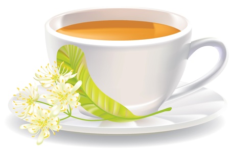 Linden flowers and a cup of tea. illustration.のイラスト素材