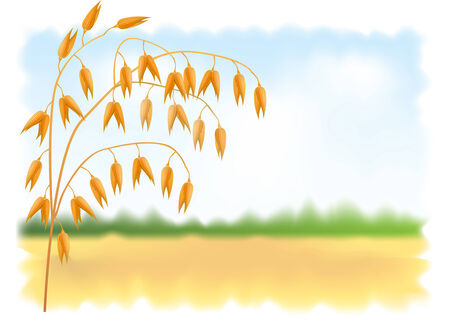 Ear of oats. Field and sky in the backgroundのイラスト素材