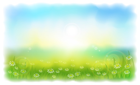 Sun-drenched meadow with daisies. Sunny summer day outdoors. Vector illustration Simulating watercolor..のイラスト素材