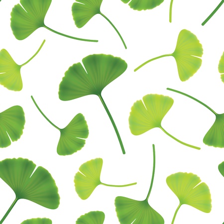 Leaves of ginkgo bilboa. Seamless illustration.のイラスト素材