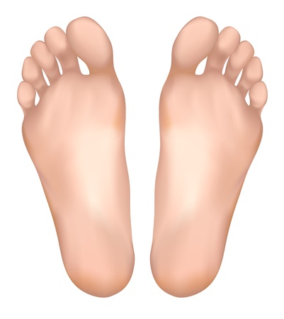 Healthy feet. Vector illustration.のイラスト素材
